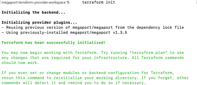 Beispielausgabe von terraform init