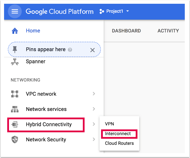 Interconnessione Google