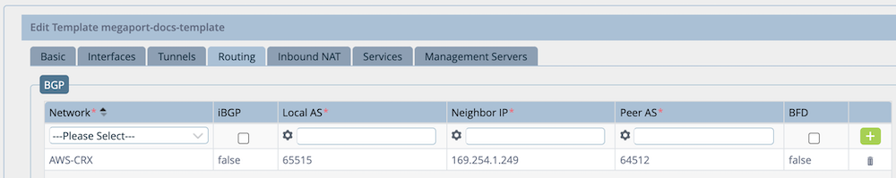 Versa BGP 设置
